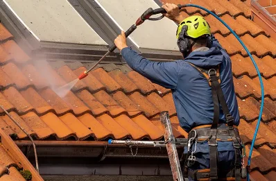 Démoussage et hydrofuge de toiture à Lanmodez